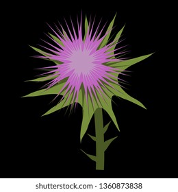 Isolated vector illustration. Stylized thistle flower. On black background.