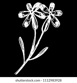 Isolated vector illustration of a stylized wild flower. Hand drawn linear ink sketch. White silhouette on black background.