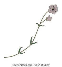 Isolated vector illustration. Stylized wild flower.