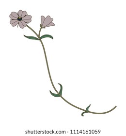Isolated vector illustration. Stylized wild flower.