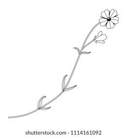 Isolated vector illustration. Stylized wild flower. Black and white linear silhouette.
