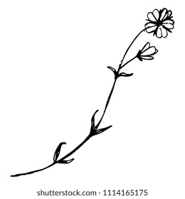 Isolated vector illustration. Stylized wild flower. Flax blossom. Hand drawn doodle sketch. Black silhouette on white background.