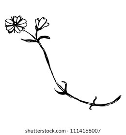 Isolated vector illustration. Stylized wild flower. Flax blossom. Hand drawn doodle sketch. Black silhouette on white background.