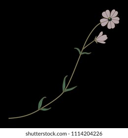 Isolated vector illustration. Stylized wild flower. On black background.
