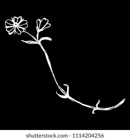 Isolated vector illustration. Stylized wild flower. Flax blossom. Hand drawn doodle sketch. White silhouette on black background.