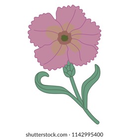 Isolated vector illustration of stylized wild flower. Pink carnation. Based on medieval European motif.