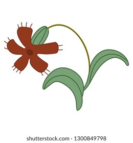 Isolated vector illustration. Stylized wild flower. Vintage floral motif.