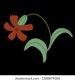 Isolated vector illustration. Stylized wild flower. Vintage floral motif. On black background.