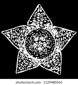 Isolated vector illustration. Succulent blossom. Flower of Stapelia Variegata (or Orbea variegata). Starfish Plant. Hand drawn ink sketch. White silhouette on black background.