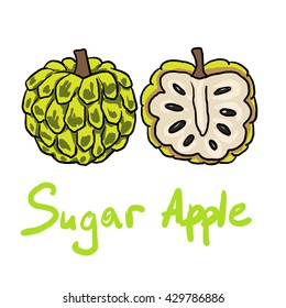 Custard Apple Illustration High Res Stock Images Shutterstock