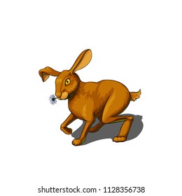 Isolated vector illustration of a summer hare sitting with a flower in its mouth.