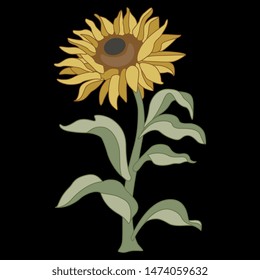 Isolated vector illustration. Sunflower plant. On black background.
