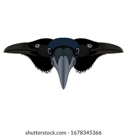 Isolated vector illustration. Symmetrical animal decor with three raven heads.