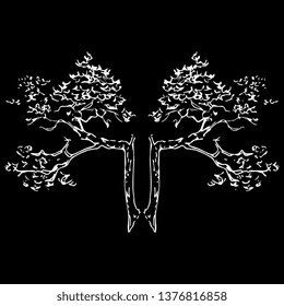 Isolated vector illustration. Symmetrical floral decor with two tree branches. Stylized double tree. Hand drawn linear ink sketch. White silhouette on black background.