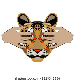 Isolated vector illustration. Tiger's face and two beautiful female hands with red nails covering his eyes. Flat cartoon style.