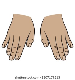 Isolated vector illustration. Top view of two human Caucasian male hands. Hand drawn linear sketch. Cartoon style.