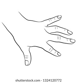Isolated vector illustration. Top view of a human female hand with open fingers. Hand drawn linear sketch. Black silhouette on white background.