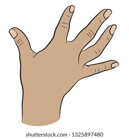 Isolated vector illustration. Top view of a human Caucasian female right hand with open fingers. Hand drawn linear sketch. Cartoon style.