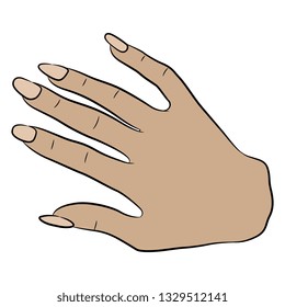 Isolated vector illustration. Top view of human female Caucasian hand with long nails. Hand drawn sketch. Cartoon style.