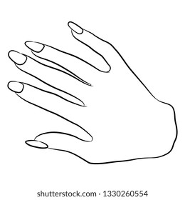 Hand Showing Small Size Realistic Hand Stock Vector (Royalty Free ...