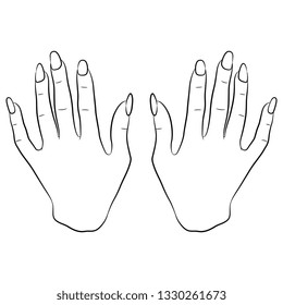 Isolated vector illustration. Top view of two raised up human female hands with long nails. Hand drawn linear sketch. Black silhouette on white background.