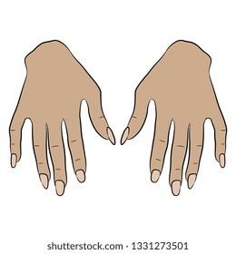 Isolated vector illustration. Top view of two beautiful human female Caucasian hands with long nails. Cartoon style.