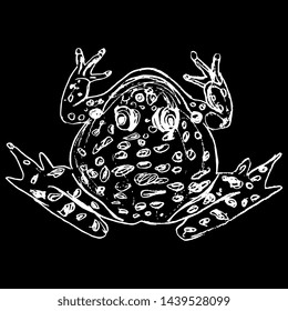 Isolated vector illustration. Top view of a frog or toad. Hand drawn linear doodle sketch.White silhouette on black background.