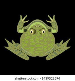 Isolated vector illustration. Top view of a frog or toad. Flat cartoon style. On black background.