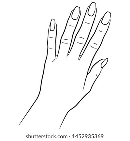 Isolated vector illustration. Top view of a female hand with long nails. Hand drawn linear sketch. Black silhouette on white background.
