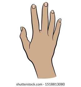 Isolated vector illustration. Top view of human female hand. Cartoon style.