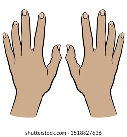 Isolated vector illustration. Top view of two human female Caucasian hands. Cartoon style.