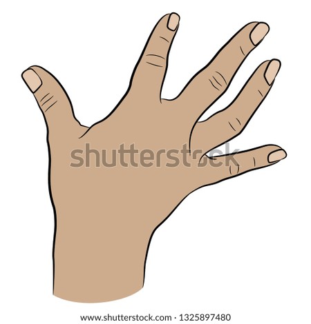 Isolated vector illustration. Top view of a human Caucasian female right hand with open fingers. Hand drawn linear sketch. Cartoon style.