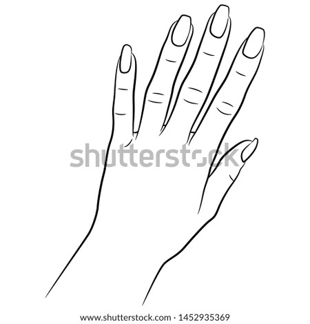 Isolated vector illustration. Top view of a female hand with long nails. Hand drawn linear sketch. Black silhouette on white background.
