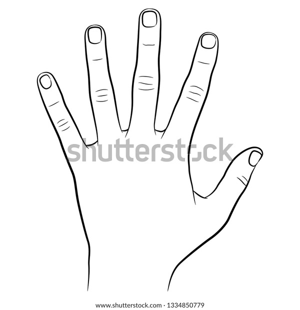 Isolated Vector Illustration Top View Human Stock Vector (Royalty Free ...