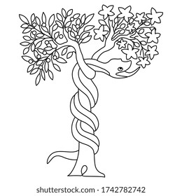 Isolated vector illustration. Tree of the knowledge of good and evil. Serpent snake in Eden garden. Biblical Christian symbol. Apple fruit of sin. Black and white linear silhouette. 