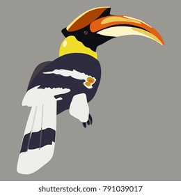 Isolated vector illustration of a tropical kalao or rhinoceros hornbill bird. Flat cartoon style.