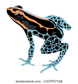 Isolated Vector Illustration Of A Tropical Poison Dart Frog. (Dendrobatidae). Ranitomeya Amazonica. Flat Cartoon Style. 