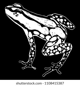 Isolated vector illustration of a tropical poison dart frog. (Dendrobatidae). Ranitomeya amazonica. Hand drawn linear ink sketch. White silhouette on black background.