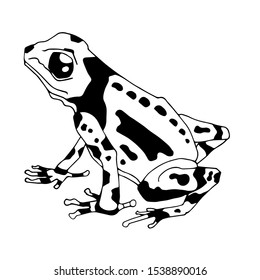 Isolated vector illustration of a tropical poison dart frog. Dendrobatidae . Ranitomeya amazonica. Flat cartoon style. Hand drawn linear ink sketch. Black silhouette on white background.