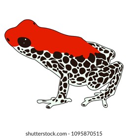 Isolated vector illustration of a tropical South American dart poison frog Ranitomeya. Flat cartoon style.