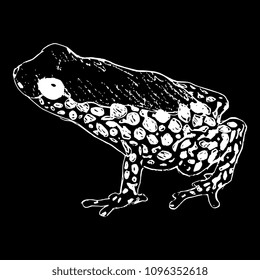 Isolated vector illustration of a tropical South American dart poison frog Ranitomeya. Doodle style hand drawn sketch. White silhouette on black background.