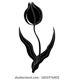Isolated vector illustration. Tulip flower. Black and white silhouette.