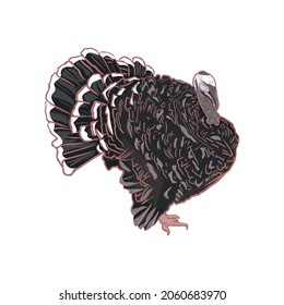 Isolated vector illustration of a turkey cock on a white background. Turkey as a logo, icon, isolated for printing on packaging, farm birds