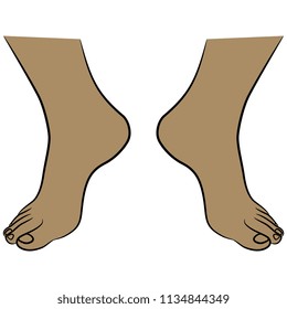 Isolated vector illustration. Two bare female feet. Cartoon style.