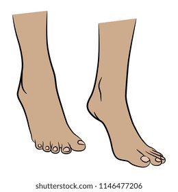 Isolated vector illustration of two bare female feet on tiptoe. Hand drawn linear sketch. Cartoon style.