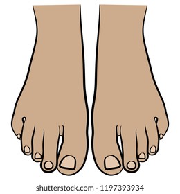 Isolated vector illustration. Two bare human Caucasian female feet. Top view. Hand drawn linear sketch. Cartoon style.