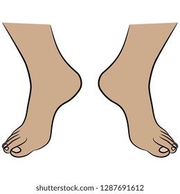 Isolated vector illustration. Two bare human female feet on tip toes in dancing position. Hand drawn linear sketch. Cartoon style.
