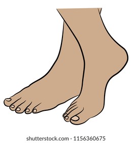 Isolated vector illustration. Two beautiful bare female feet. Cartoon style.