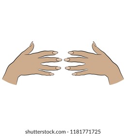 Isolated vector illustration. Two beautiful female hands with long nails. Hand drawn linear sketch. Cartoon style.