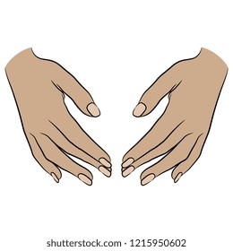 Isolated vector illustration. Two beautiful Caucasian female hands in elegant gesture. Hand drawn linear sketch. Cartoon style.